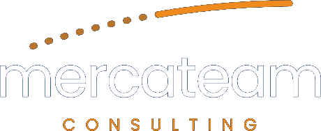 Mercateam Consulting